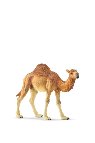 SCHLEICH Hörgüçlü Deve Hayvan Figür Oyuncak