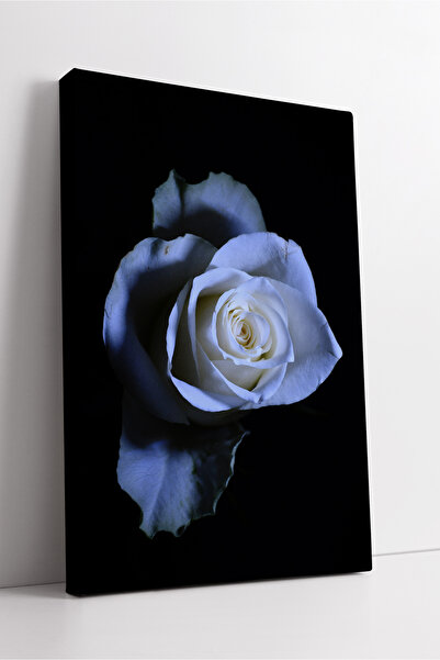 KOSS Dijital Decor de perete elegant cu tematică de trandafiri albi, artă flo...