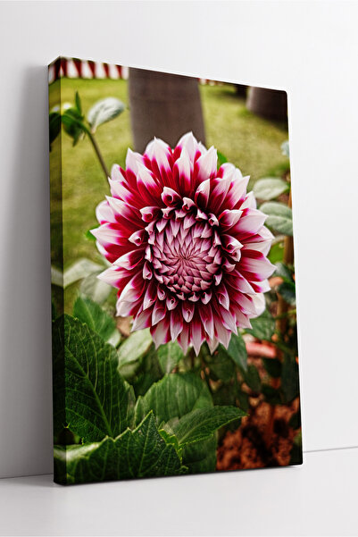 KOSS Dijital Compoziție botanică artistică detaliată cu flori de dahlia albă ...