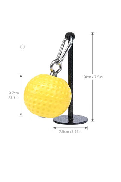 Fitness World Weightlifting ball, dumbbell grip with bracket