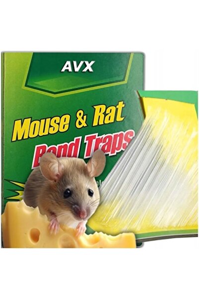 AVX Set of 40 adhesive traps for mice and rats, AVX, strong glue, roasted nut scent