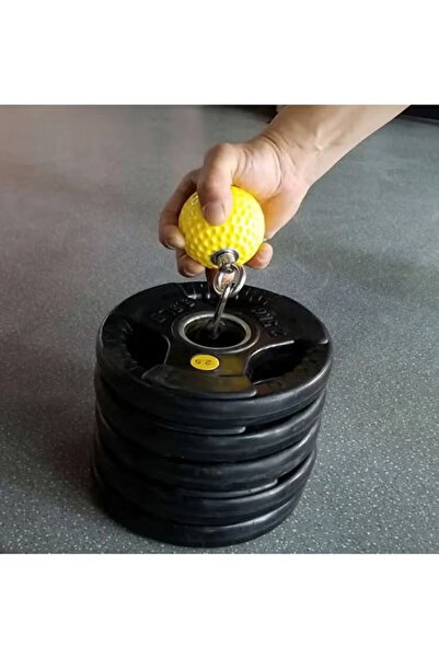 Fitness World Weightlifting ball, dumbbell grip with bracket