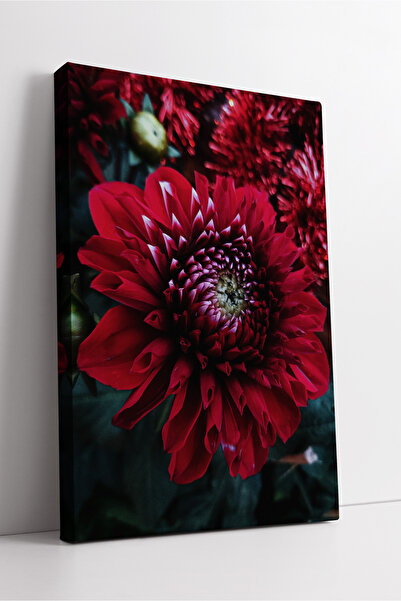 KOSS Dijital Pictură decorativă pe pânză cu design botanic artistic cu detali...