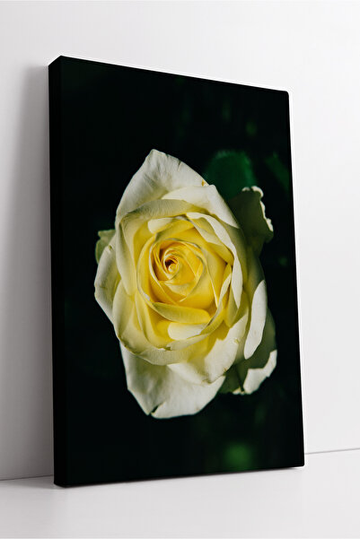 KOSS Dijital Eleganța trandafirului galben este decorativă estetică în pânză,...