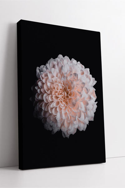 KOSS Dijital Εκλεκτής ποιότητας καλλιτεχνική ζωγραφική σε καμβά με μαλακό ροζ...