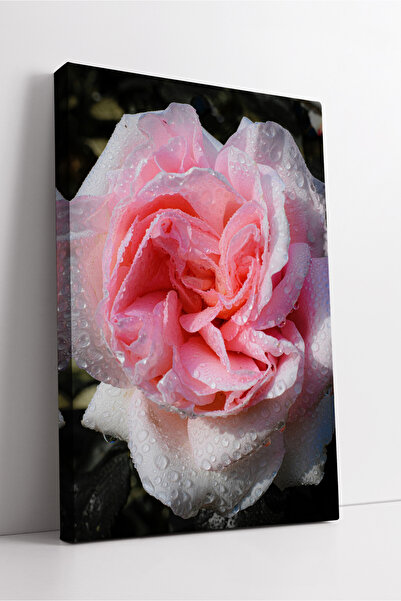 KOSS Dijital Pictură decorativă pe pânză cu tematică florală modernă de înalt...