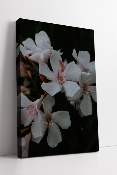 KOSS Dijital Decor modern de perete cu tematică de flori albe, design natural...