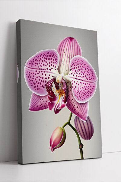 KOSS Dijital Розова орхидея на сив фон Детайлна модерна естетична декоративна...