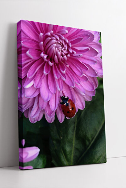 KOSS Dijital Εκλεκτός πίνακας σε καμβά με θέμα τα λουλούδια με φυσική εμφάνισ...