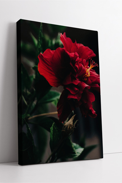 KOSS Dijital Pictură decorativă artistică modernă pe pânză cu detaliu de floa...