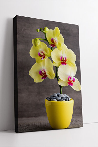 KOSS Dijital Жълта орхидея и модерна аранжировка в саксия: стилна декоративна...