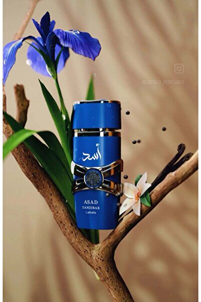 lattafa Asad Zanzibar Eau de Parfum for Men - 100 ml