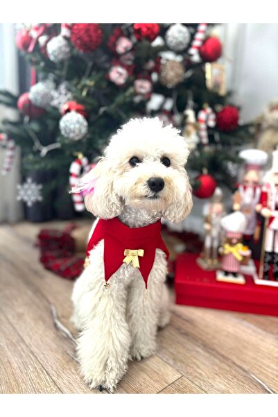 MIA WARDROBE إكسسوار عيد الميلاد للكلاب