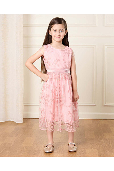 REDTAG Girls Pink Embroidered Dress