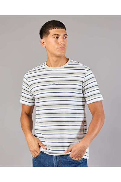 REDTAG Men Multicolour Striped T-Shirt