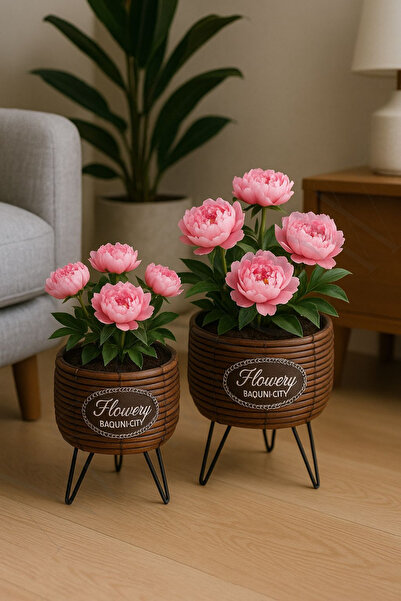 NEWNOW Flowery Duo Ayaklı 2’li Dekoratif Çiçek Saksı Seti – Rattan Desen Flower Baquni City Saksılık