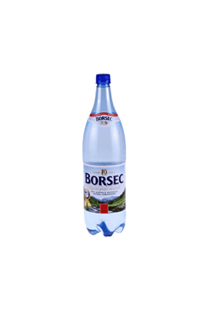 Borsec Apa Carbogazoasa 1.5L PET
