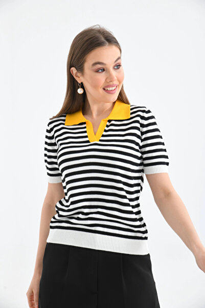 Park Karon    Women's Polo Neck Striped Knitwear Sweater