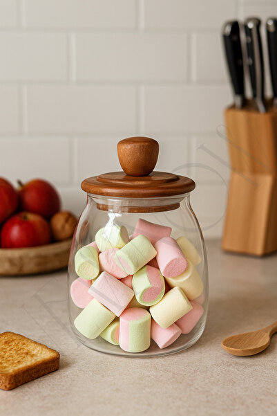 NEWNOW Dome Acacia Wood Lid Glass Jar – Coffee, Sugar and Spice Storage Container 500 ml