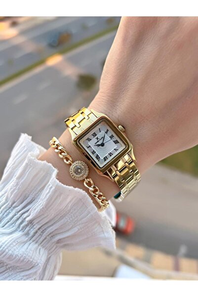 Daniel Klein Steel Cord 30 Mt Water Resistant Women's Wristwatch+Bracelet Bf.Gf.10814.3