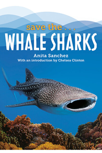 Philomel Salvați... rechinii balenă