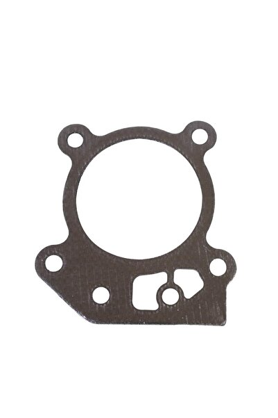 Briggs&Stratton Garnitură chiulasă Briggs & Stratton 799586