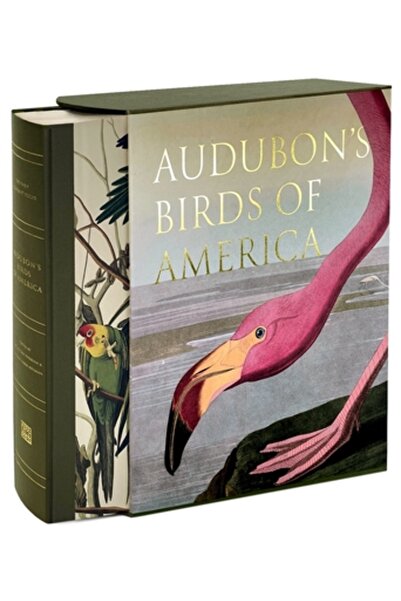Abbeville Pr Păsările americane ale lui Audubon: Portfolio-ul cu pui de elefa...