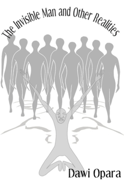 Lulu Pr Omul invizibil și alte realități