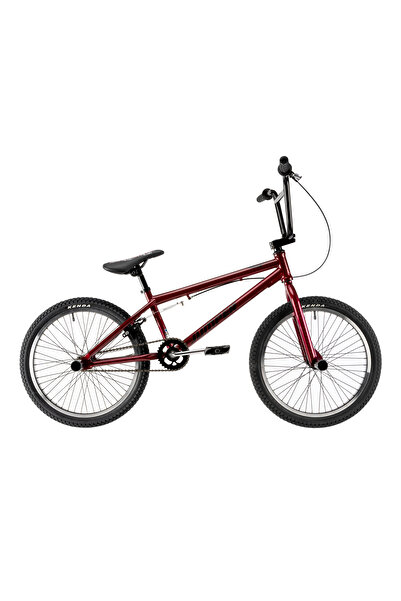 DHS Children's BMX Bike Jumper 2005 - 20 Inch, Purple
