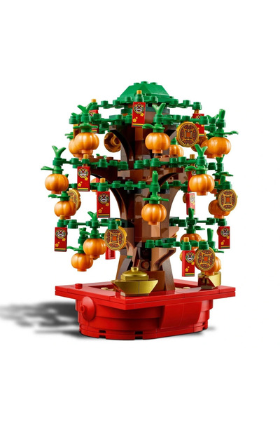 TOYFEST Money Tree Making Kit Luck and Abundance Decor with Red Envelope and Tangerine for Children over 9 Years Old