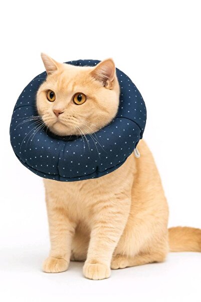razar Lacivert Simit Yakalık / Elizabeth / Koruyucu Yakalık / Kedi Köpek Boyu...