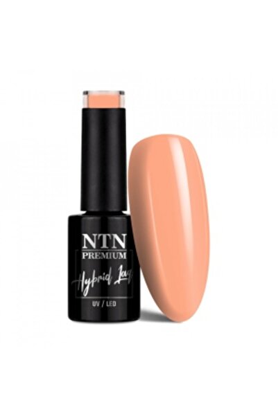 NTN PREMIUM TPO free semi-permanent nail polish 059 Day Dreaming Collection