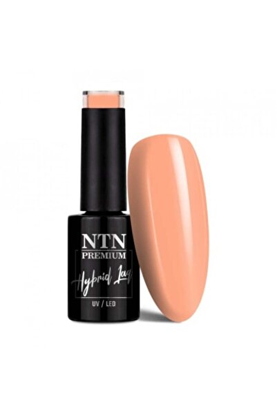 NTN PREMIUM TPO free semi-permanent nail polish 059 Day Dreaming Collection