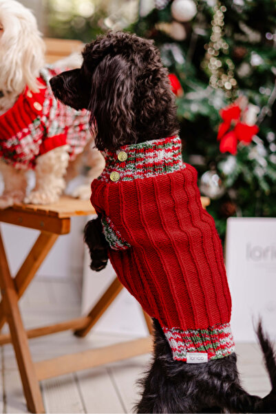 Lorico Dog Christmas Sweater