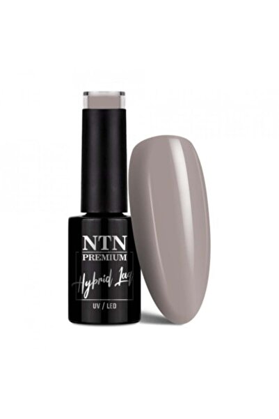 NTN PREMIUM Semi-permanent nail polish TPO free 010 Topless Collection