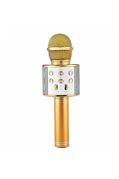 Kiwi Karaoke Microphone with Bluetooth and Speaker
