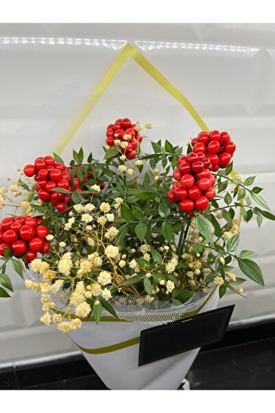 greendeco Kokina şans çiçeği cipso aranjmanlı Beyaz buket (6 DAL)-yılbaşı çiçeği -şans çiceği cipso