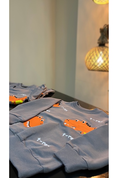 Ecrin T-rex baskılı erkek çocuk kazak