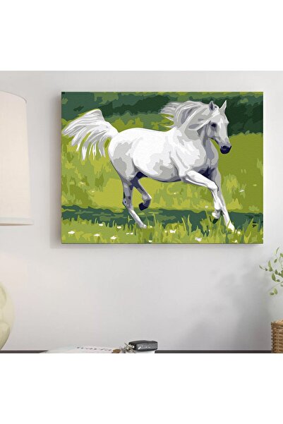 Pictorul Fericit White Horse - Pictură pe numere