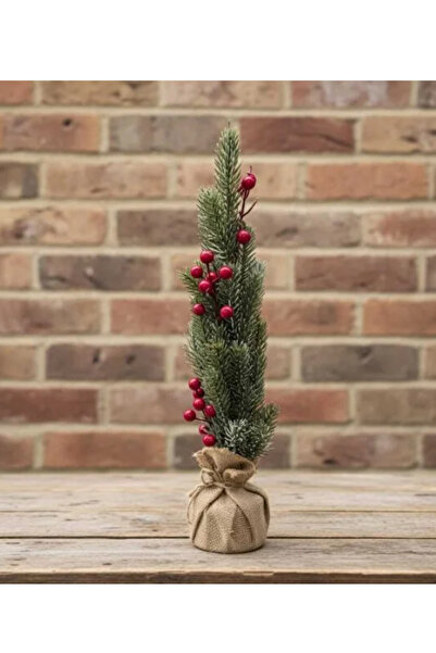 Flower Toys Yapay Dal Kokina Yılbaşı Çiçeği Vazo Çam Ağacı Noel Hediyelik Kok...