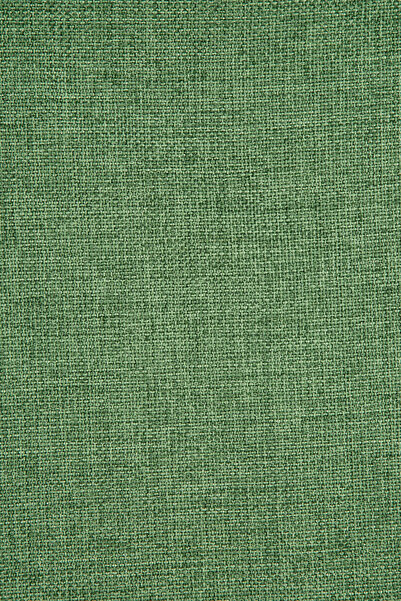 Premier Home Nadia Throw Pillow Cover Green V1 40X40