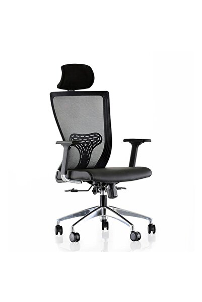 Hisar Mobilya Krom Ayaklı Fileli Yönetici Koltuğu Bel ve Boyun Destekli Quatr...
