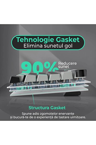 Timebox Gaming Pack: TKL 75% Hot-Swap Keyboard (Blue Switch) + Wireless 95g Gaming Mouse