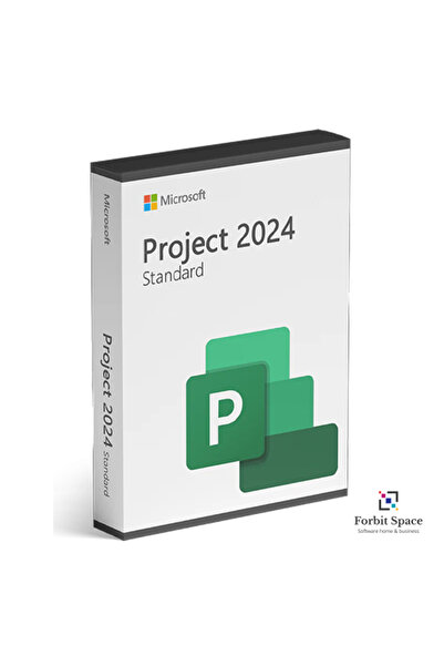 MICROSOFT Project 2024 Standard - BIND