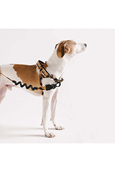 Zee.Dog Bossa Banana Softer Walk Chest Harness - Farm Rio ×