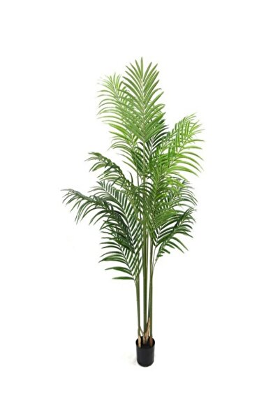 Crioflowers Artificial Areca Palm 160cm PT001