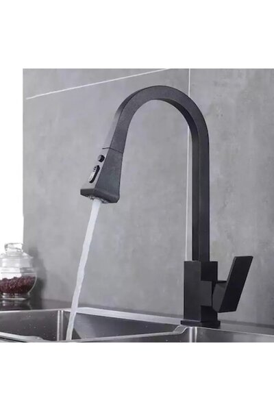 OEM Kitchen Faucet with Pull-out Shower, Sanitary Brass, Black, OD/2040