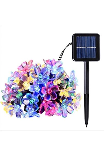 Danex Christmas lights, 5 m, 20 LED cherry-blossom bulbs, outdoor, solar-charged, multicolor,