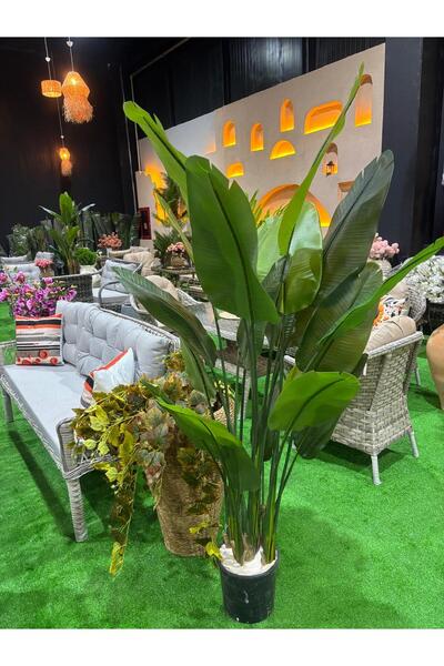 Ekodoğa Yapay Ağaç 200 cm Yapay Starliçe Ağacı 20 Yapraklı Bitki Dekorasyon B...