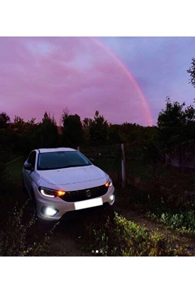 Skygarage Fiat Egea Sis Farı Ampulü H11 Beyaz Işık 6000K